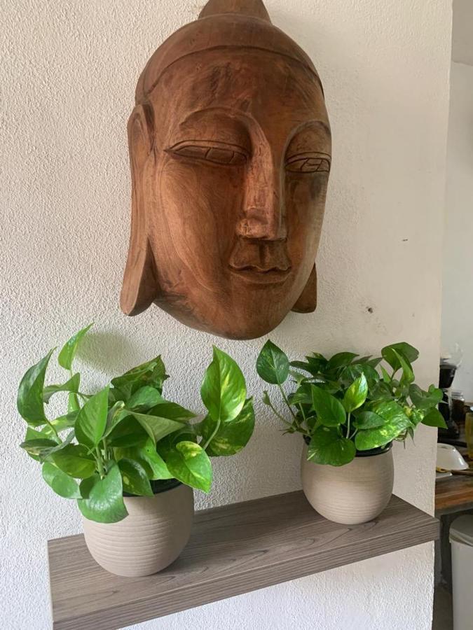 Casa Candra 圣法兰西斯克 外观 照片